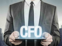 Virtual Accountant / CFO Services